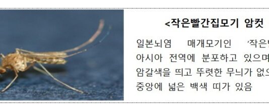 전국에 일본뇌염 경보 발령…예방접종 권고